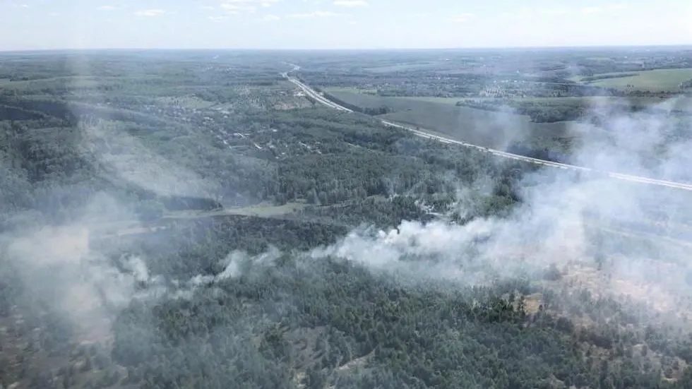 Свыше десяти возгораний ликвидировали в лесах Подмосковья за неделю