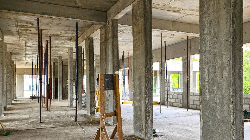 Фото: Валерия Тингаева