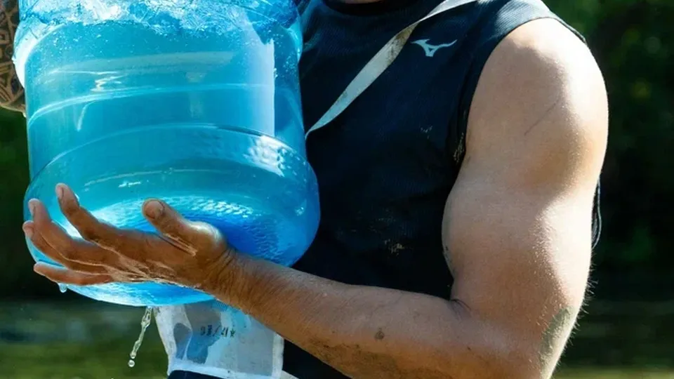 Фото: REGIONS/Наталия Надточая