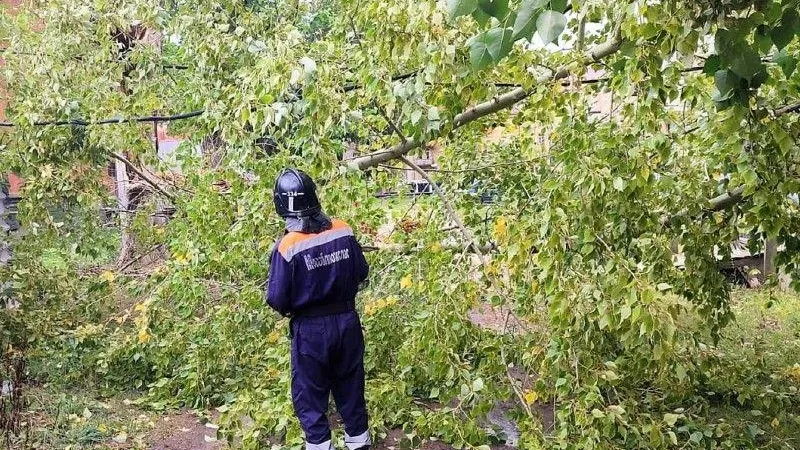 Последствия непогоды в Подмосковье устраняются в оперативном режиме