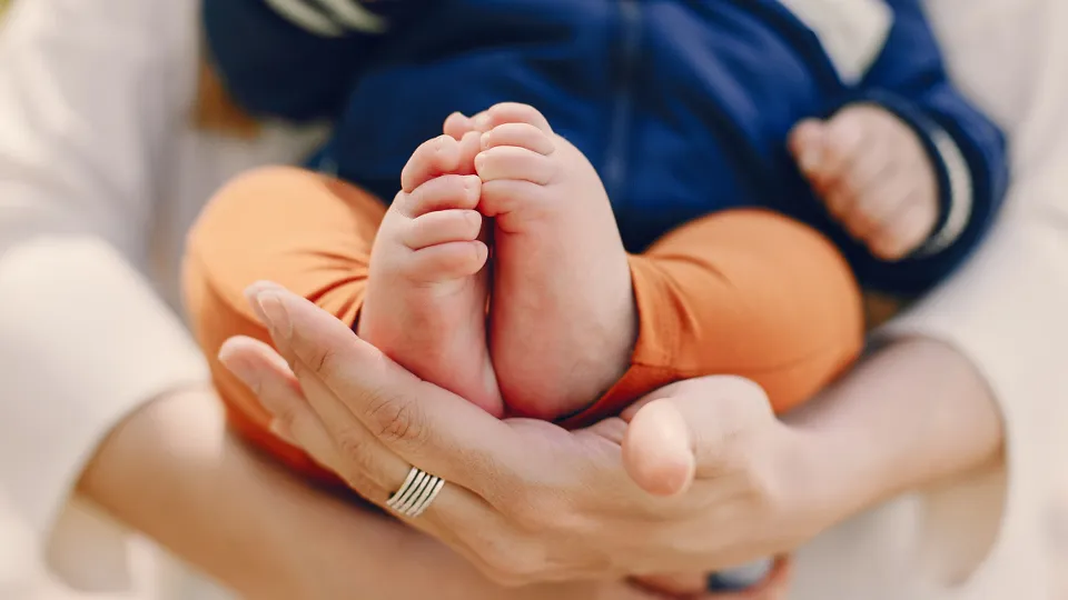 Фото: freepik.com