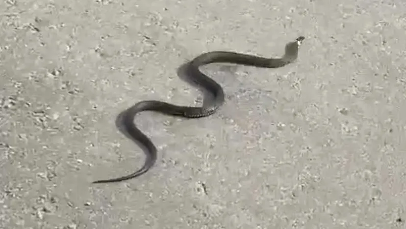 Источник: жительница Подмосковья Галина