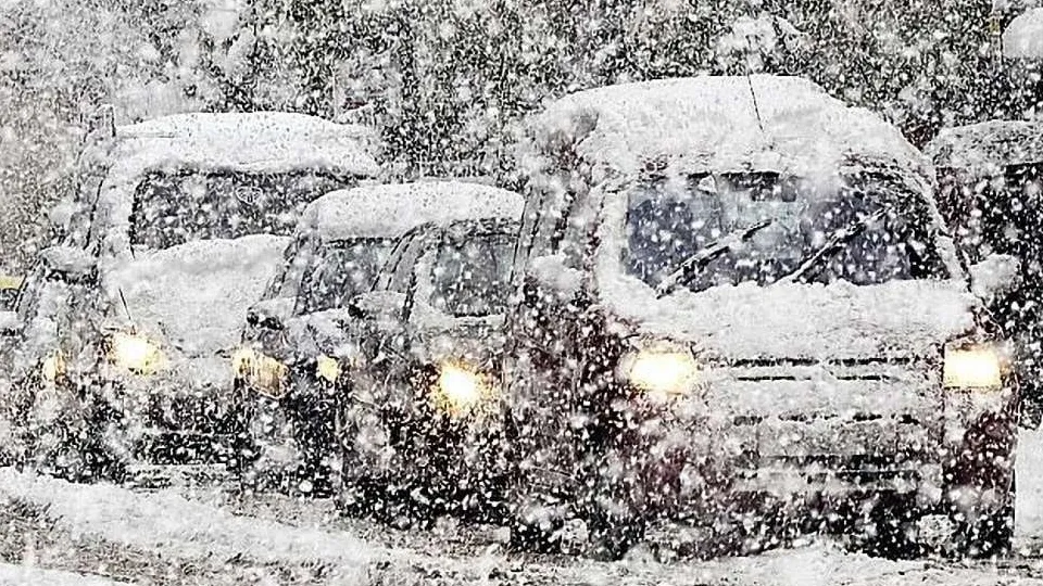 фото:.freepik.com