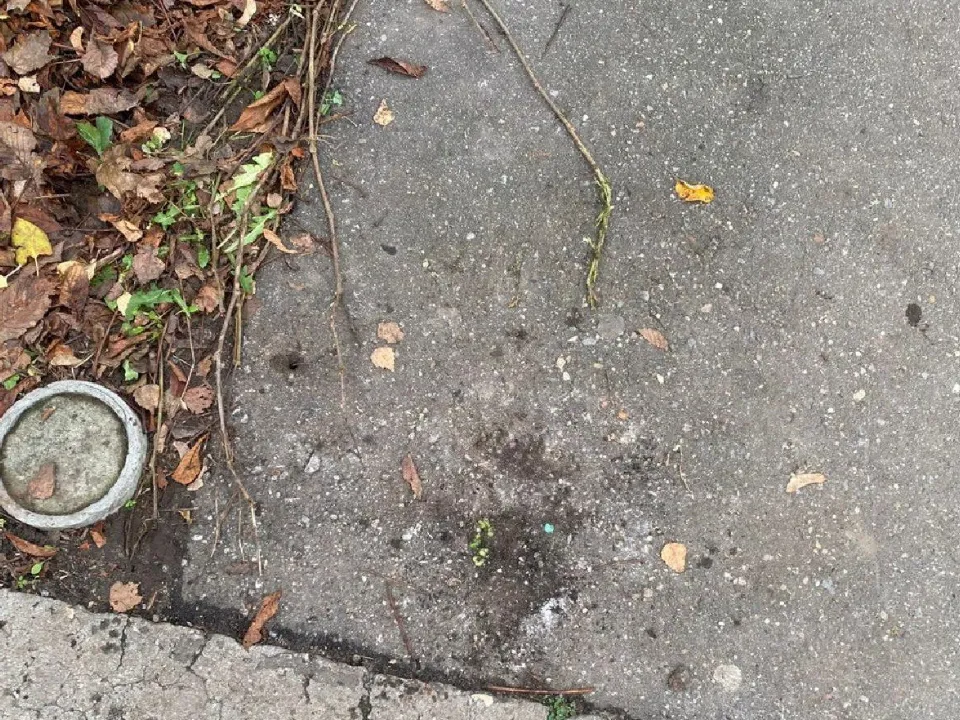 Фото: Администрация г.о. Лосино-Петровский