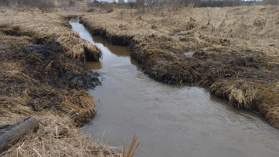 Фото: пресс-служба администрации г.о. Волоколамск