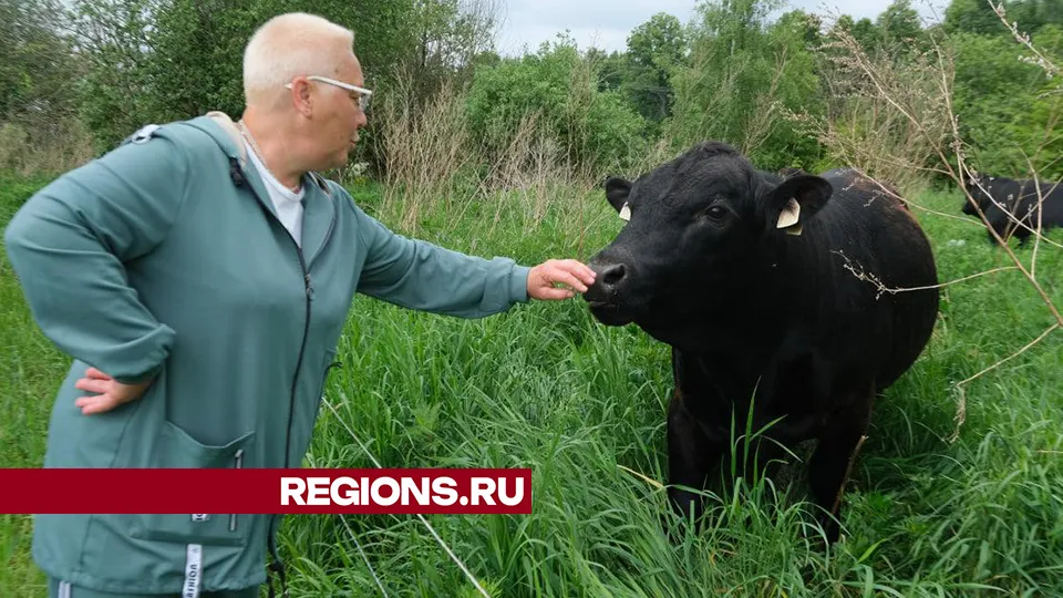 Фото: Мария Панина