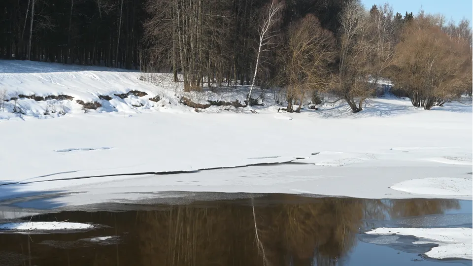 Фото: REGIONS/Наталия Надточая