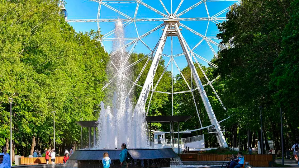 Фото: Министерство благоустройства Московской области