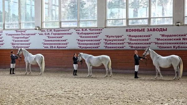 Пресс-служба администрации Одинцовского района