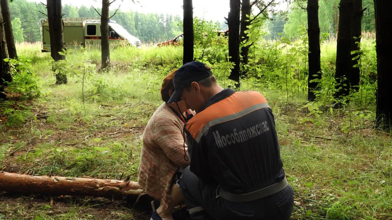 Фото: ГКУ МО «Мособлпожспас»