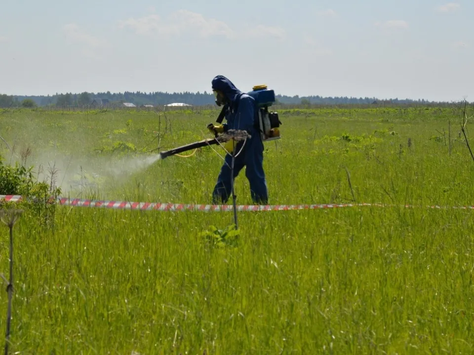 Фото:&nbsp;Министерство сельского хозяйства и продовольствия Московской области