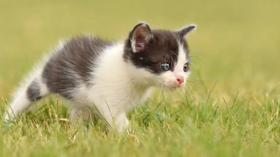 Фото: freepik.com