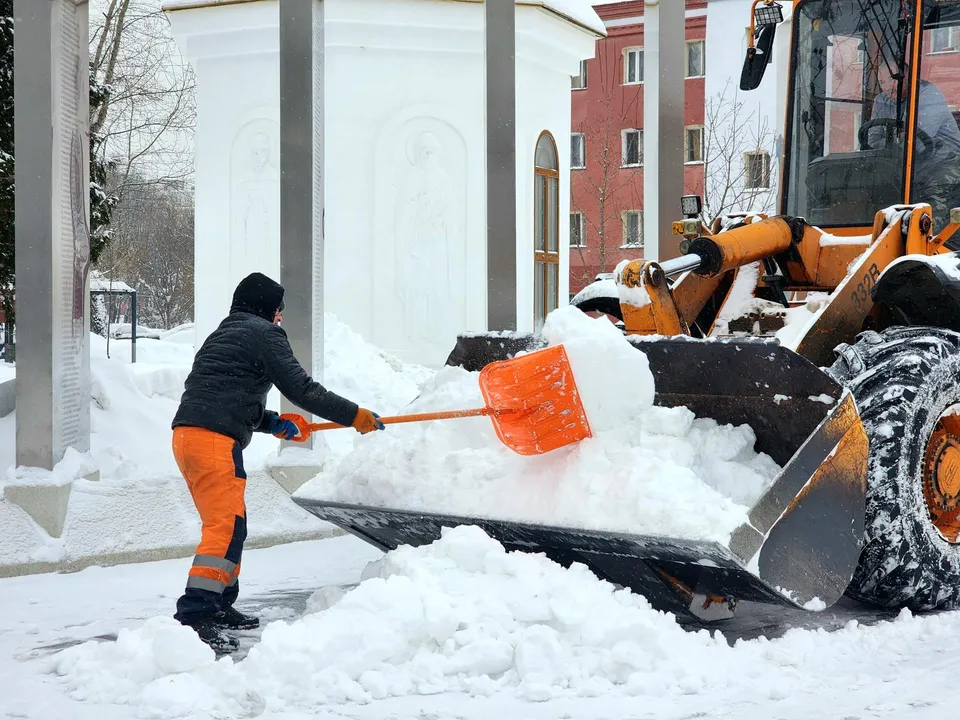 Фото: администрация г. о. Реутов