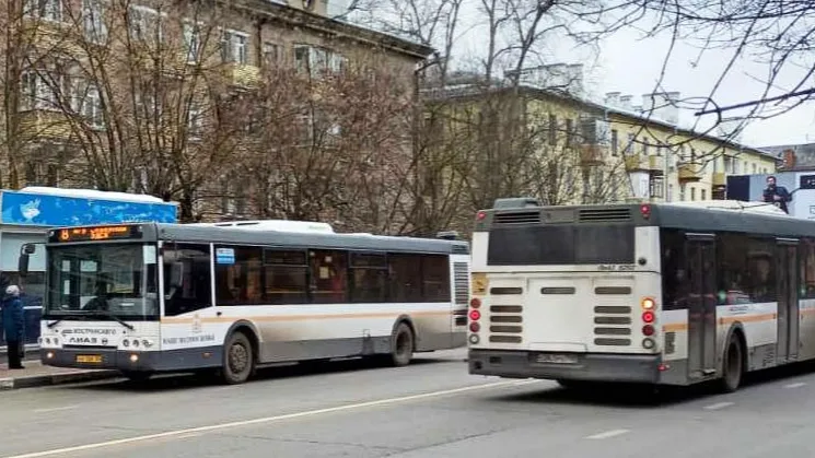 Фото: Нина Басистая