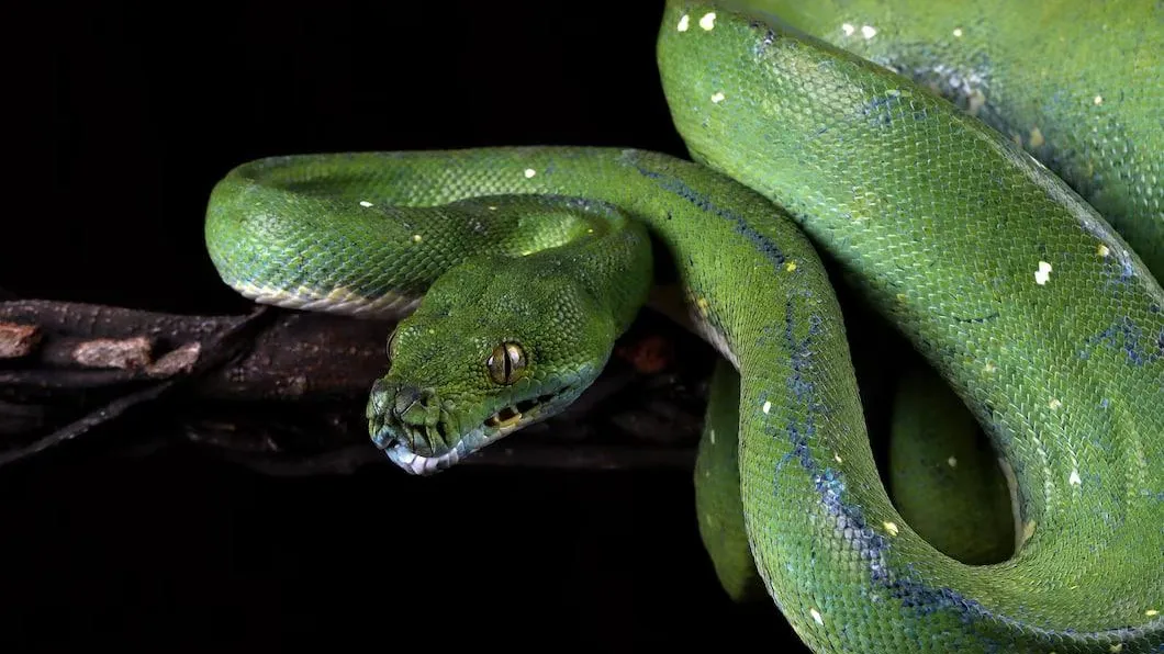 медиасток.рф