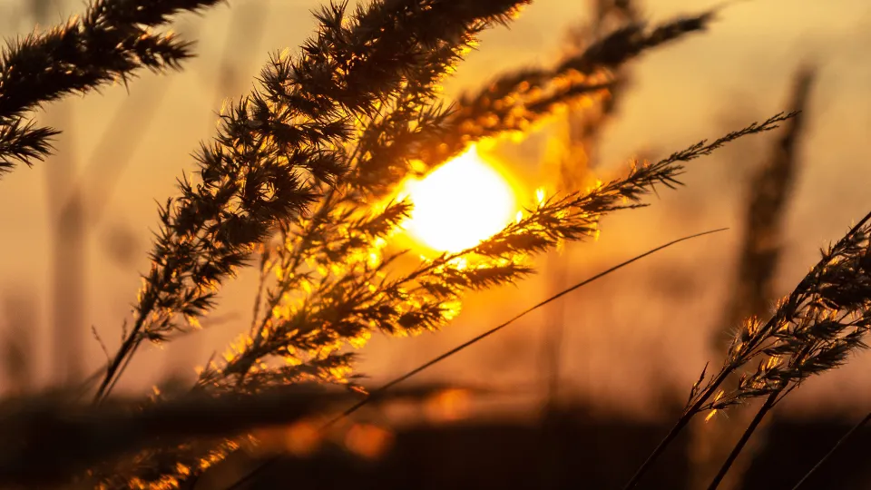 Фото: Антон Кондратюк