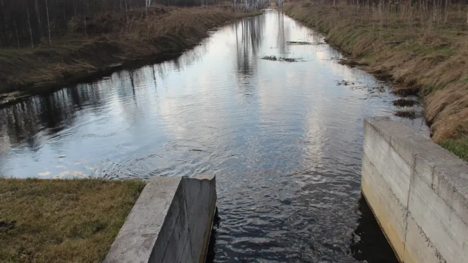Фото: REGIONS/Василий Тремасов