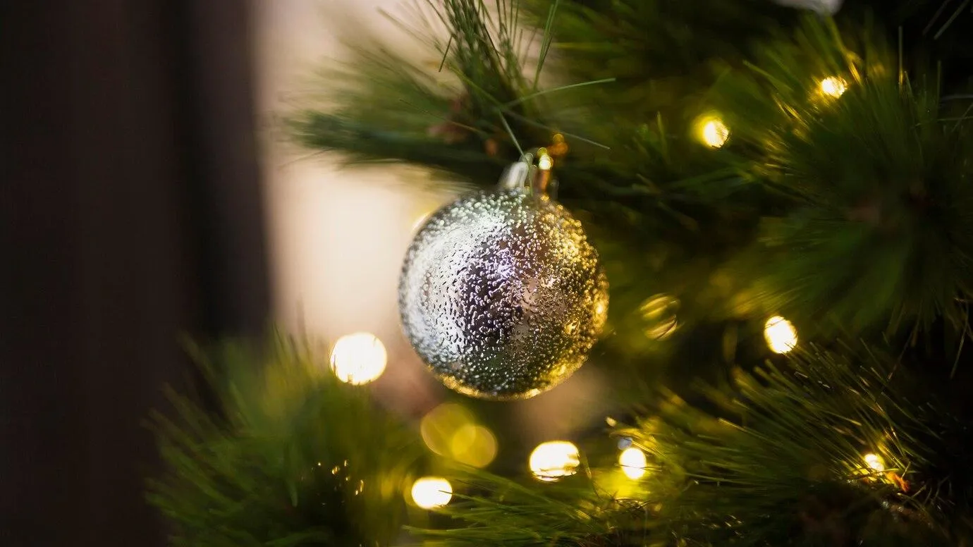 Фото взято с ru.freepik.com