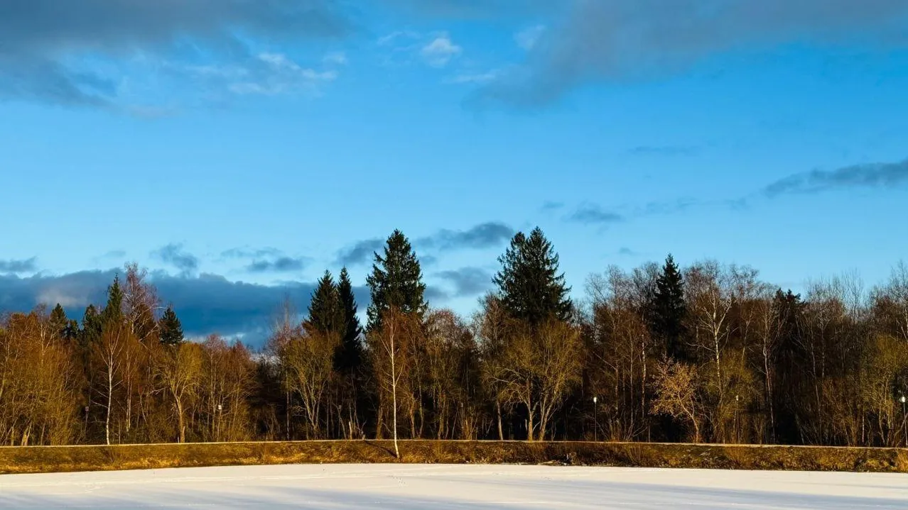 Марина Алифанова