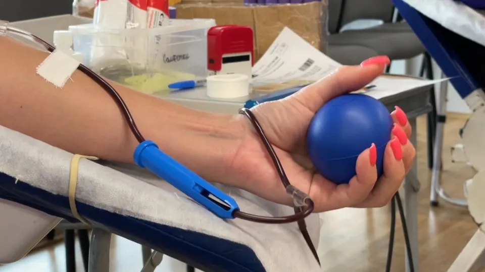 Фото: Виктория Фортуна