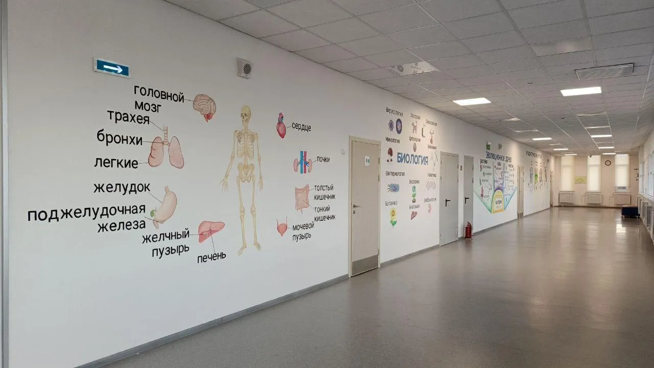 В лицее Шатуры на стенах у кабинетов биологии появились новые обучающие рисунки