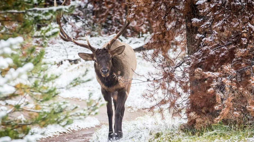 Фото: freepik.com