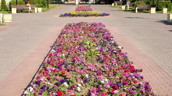 Новые цветники появились в Подольске