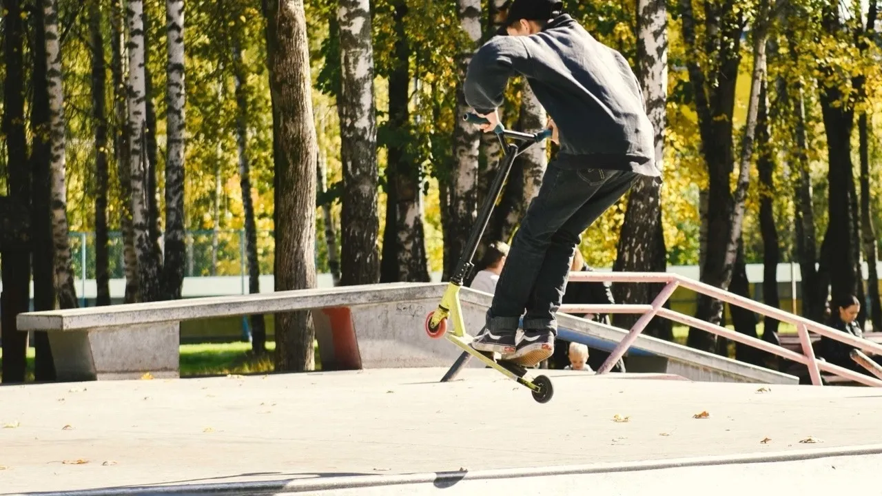 Фото: пресс-служба администрации г.о. Химки