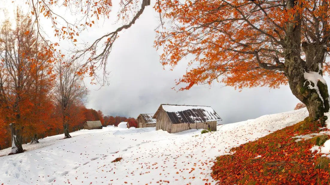 МедиаБанк Подмосковья