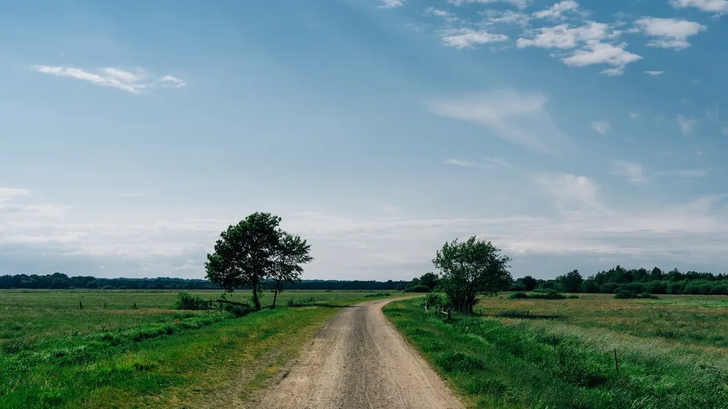 Фото: freepik.com