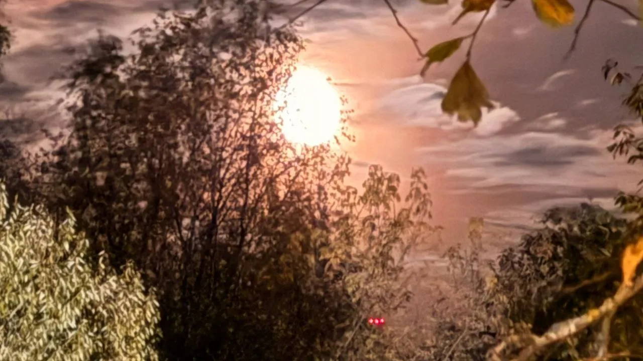 Фото: личный архив Марины Алифановой