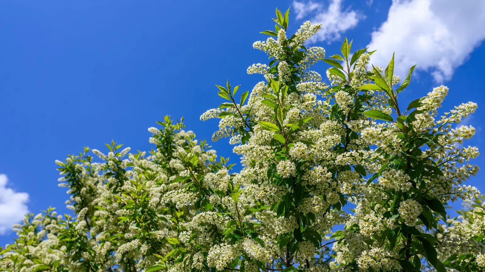 медиасток.рф