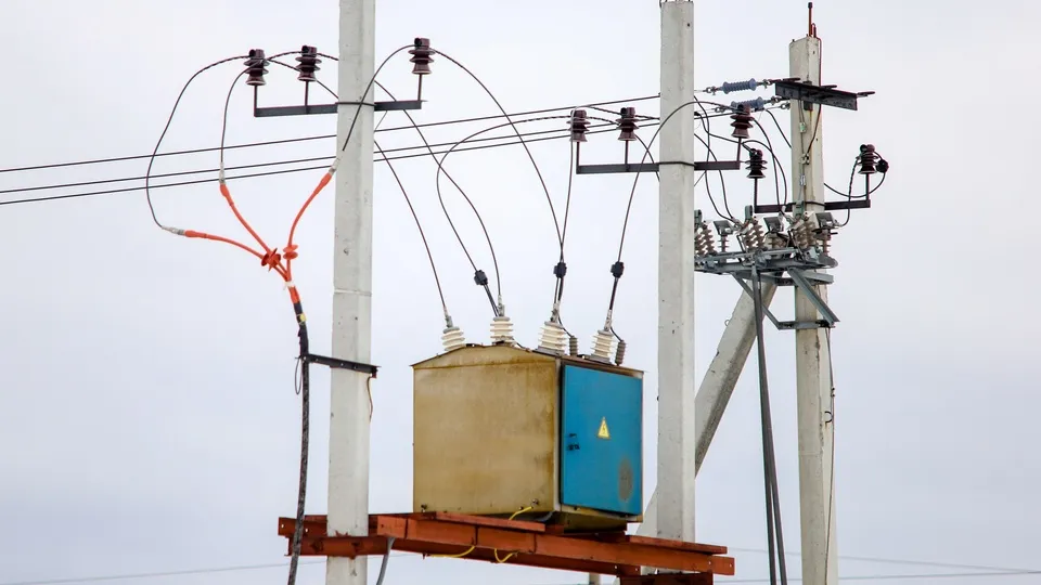 Фото: пресс-служба администрации г.о. Кашира