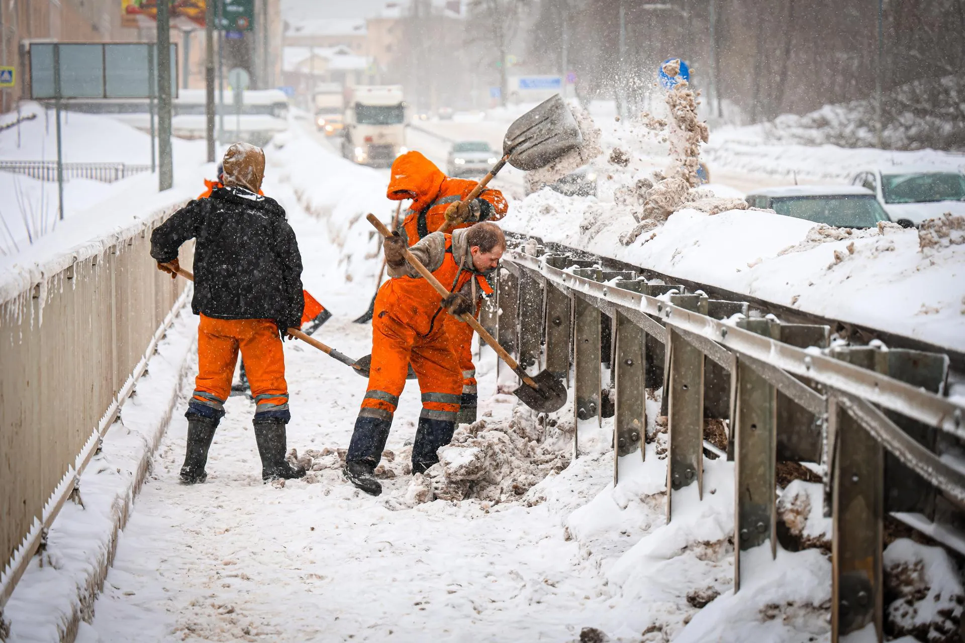 МедиаБанк Подмосковья/Данила Кирьянов