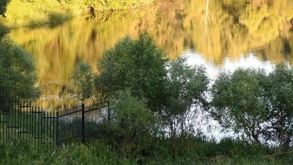 Фото: Министерство экологии Московской области