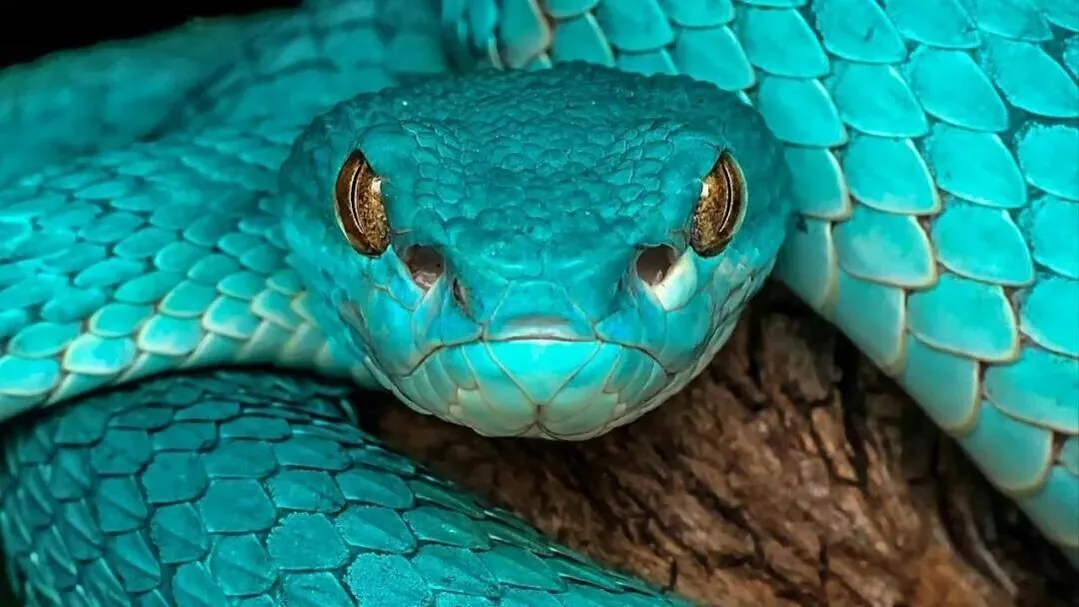 фото из социальных сетей