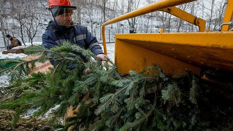 Министерство экологии и природопользования МО