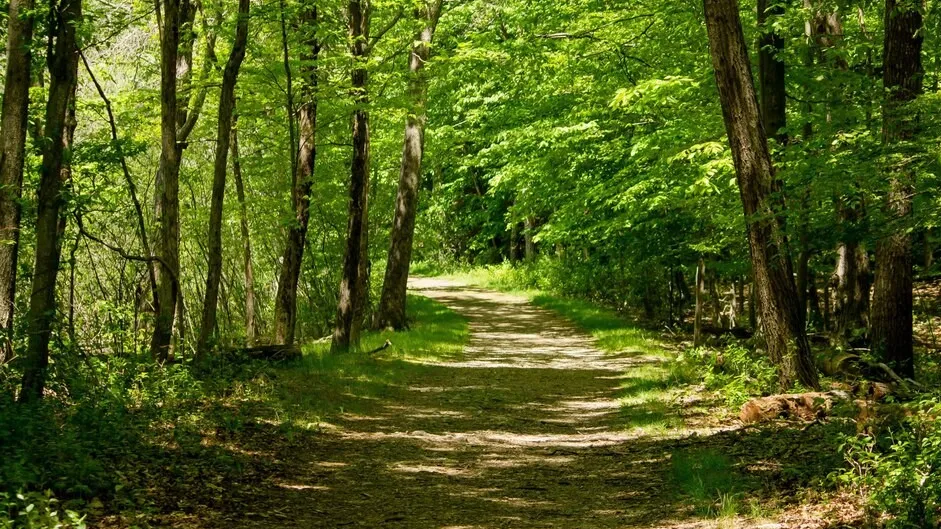 Фото: freepik.com