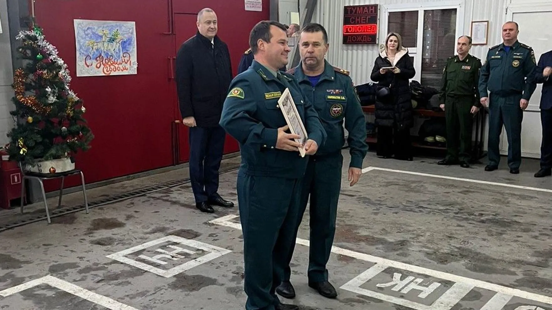 Фото: Комитет лесного хозяйства МО