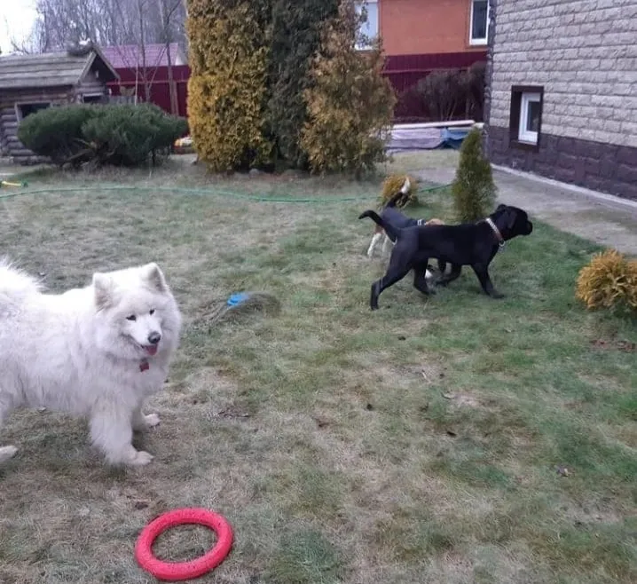 Фото: Сергей Сысоев&nbsp;