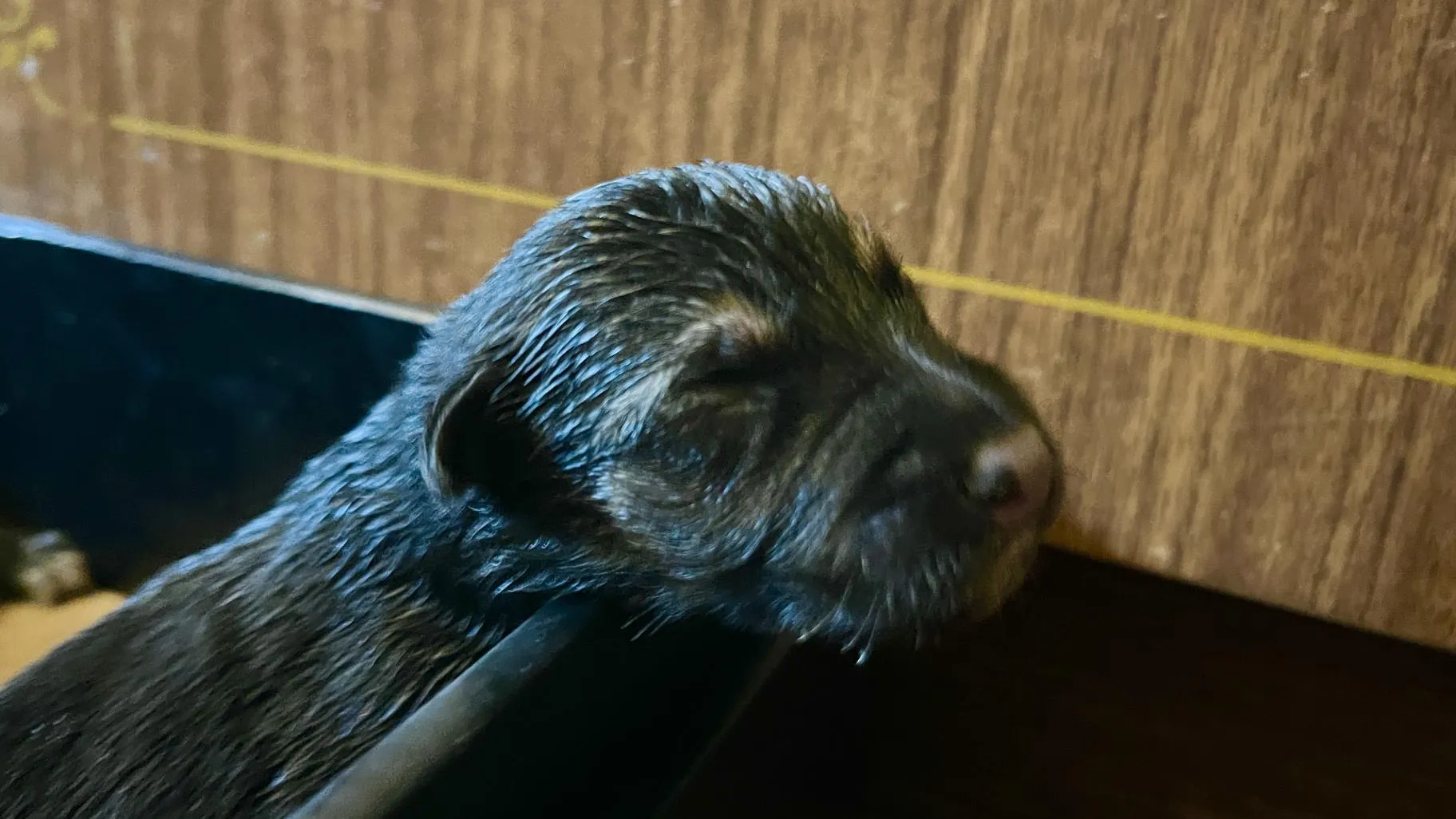 Фото: Анна Тюрюмина