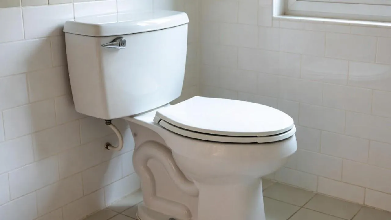 Дизайнер Лебедев возмутился согражданами, которые кидают огромные предметы в унитаз