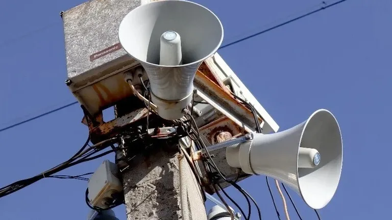 Фото: global look press