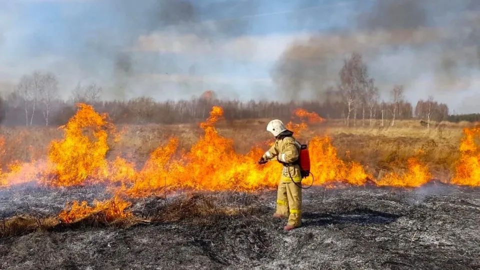 Фото: ГКУ МО «Мособлпожспас»