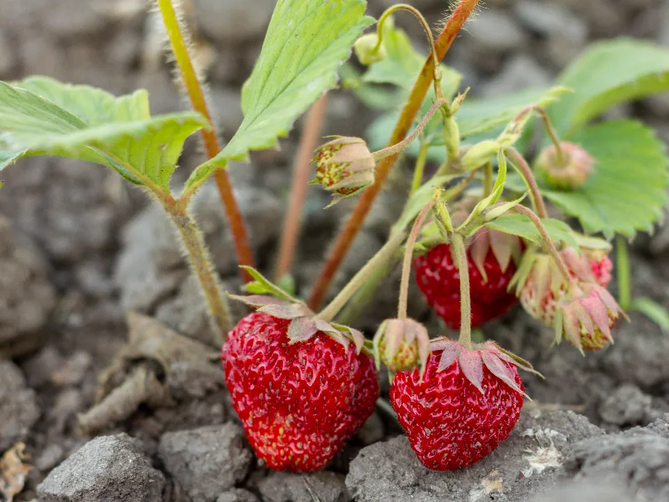 Фото:&nbsp;freepik.com