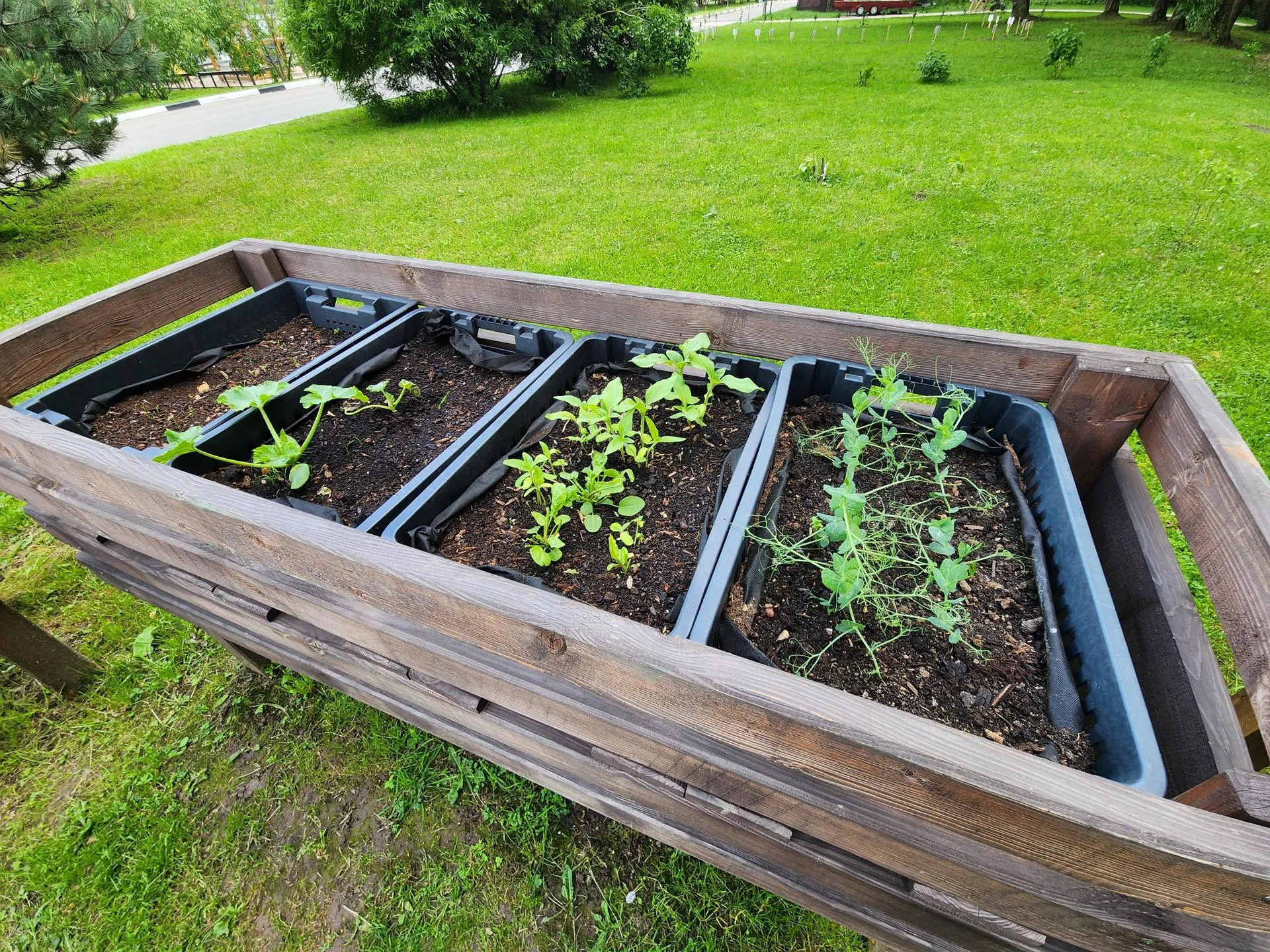 Фото: Евгения Герасимова&nbsp;