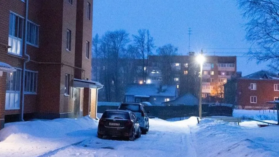 Фото: пресс-служба администрации г.о. Волоколамск