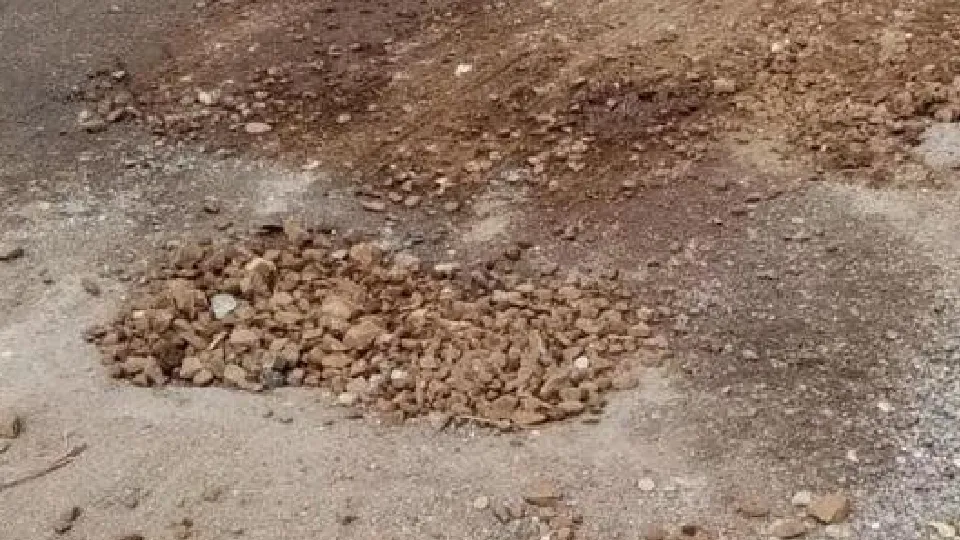 Фото: Министерство экологии и природопользования Московской области