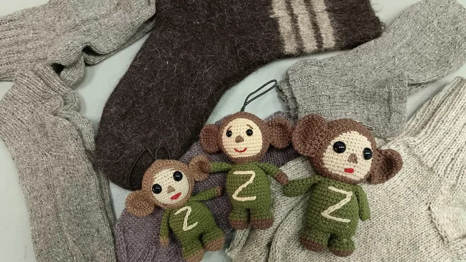 Фото: Министерство социального развития МО