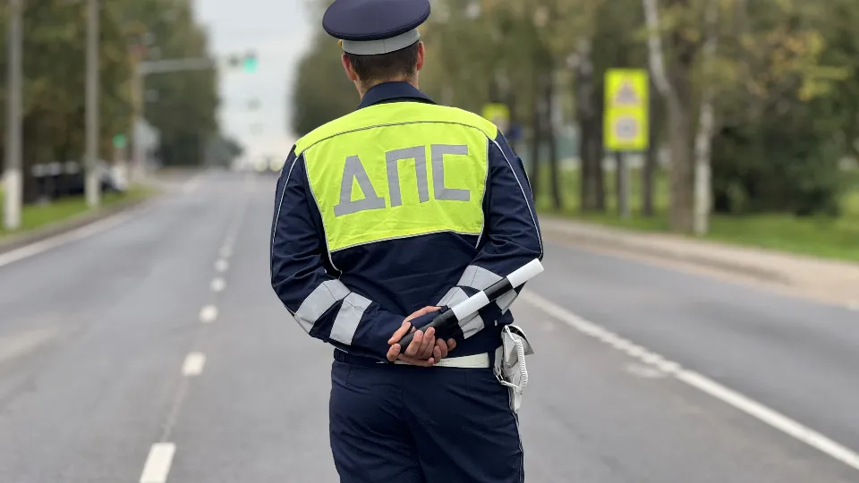 Фото: МедиаБанк Подмосковья/Татьяна Рунова